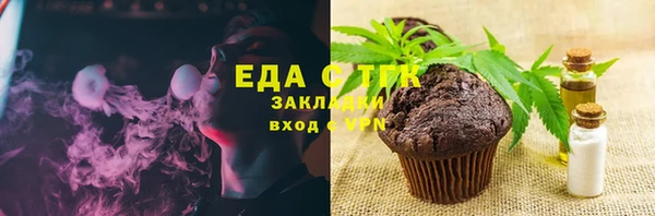 индика Михайловск