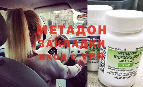 прущие грибы Михайлов