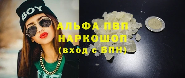 индика Михайловск