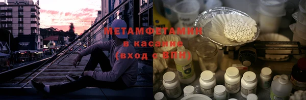 прущие грибы Михайлов