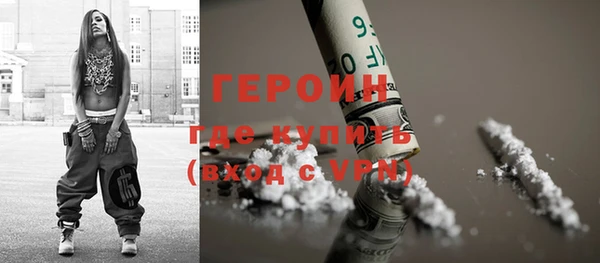 индика Михайловск