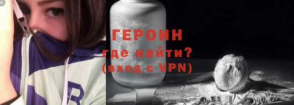 индика Михайловск