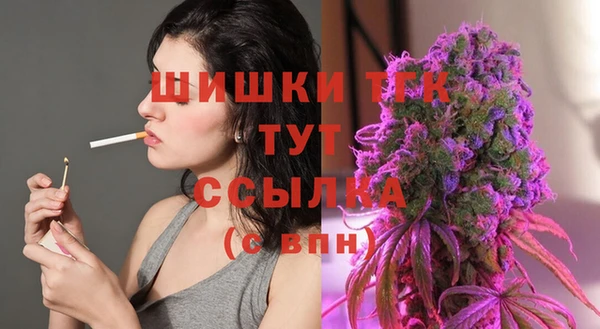 соль ск Аша