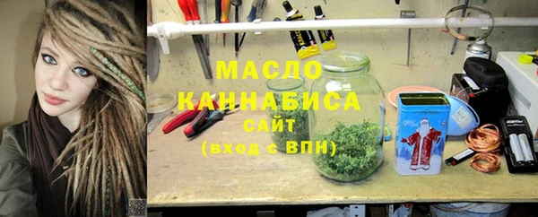 индика Михайловск
