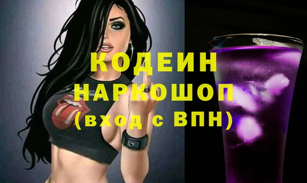 прущие грибы Михайлов