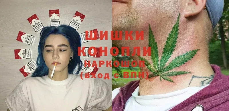 где продают наркотики  Новоаннинский  Марихуана OG Kush 